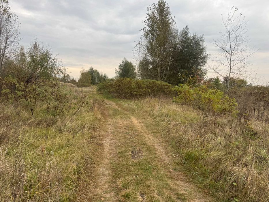 Продам участок 8 сот, дачне будівництво, перша лінія води, с. Зазим’я