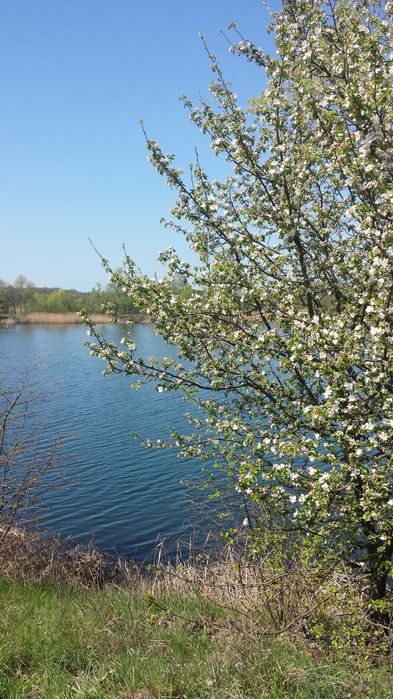 Działka rekreacyjna nad jeziorem Głębocko