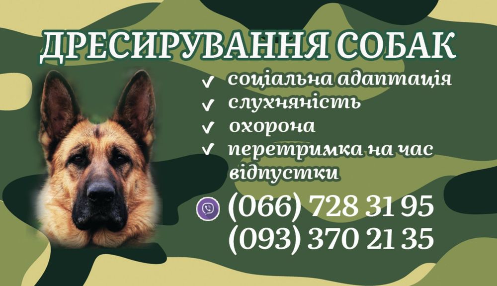 Дресирування собак передержка дрессировка окд кинолог команды киев