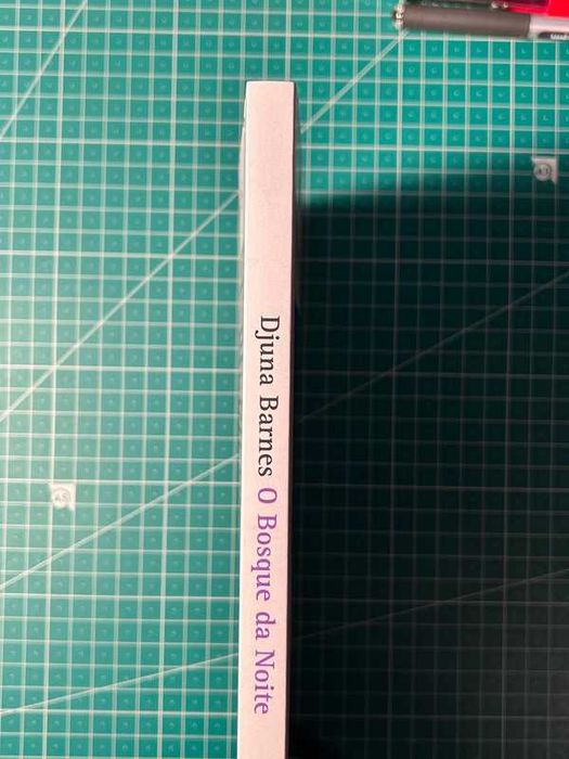 (NOVO) O Bosque da Noite - Djuna Barnes