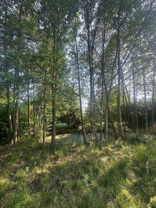 Działka 3200 m² pod nadarzynem okazja!!!