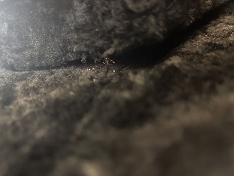 case fender classic series jazzmaster/jagua