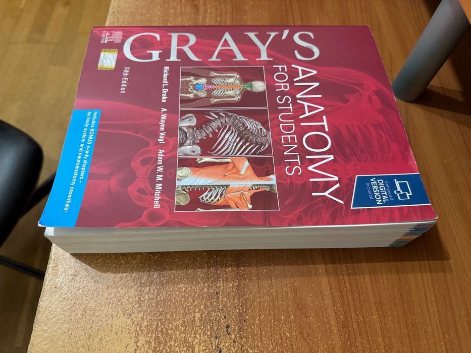 NOVO Gray's Anatomy for Students, 5th Edition