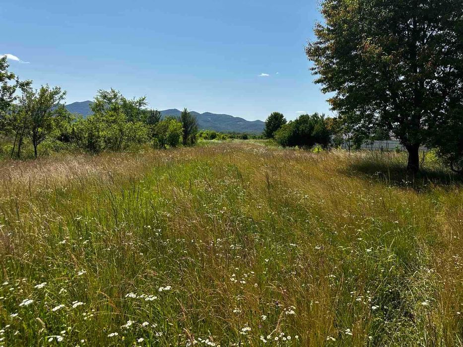 Продається земельна ділянка в смт. Буштино