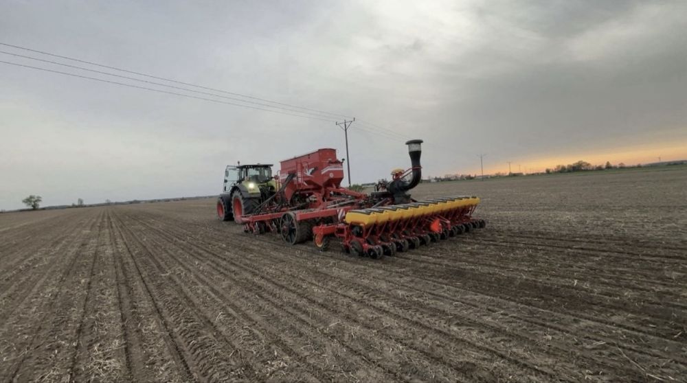 Siew pasowy strip-till Czajkowski Claas