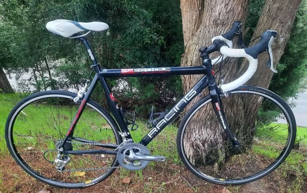 Bicicleta de estrada L 10x2v barata