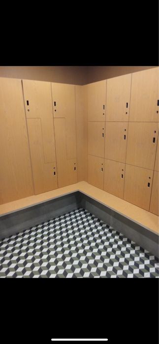 Ladrilhador profissional