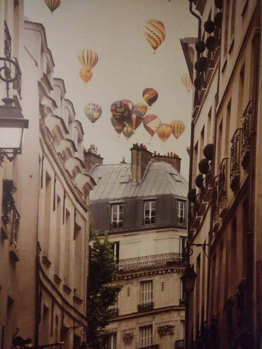 Vilshult IKEA PARIS 140x100cm