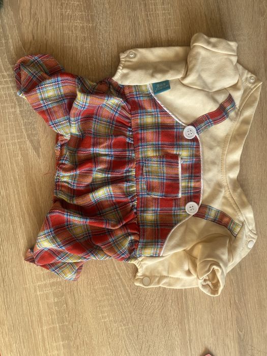 Одяг для собак.