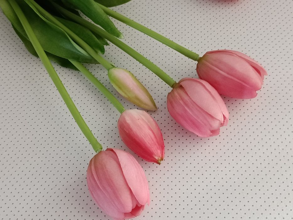 Гелеві рожеві тюльпани