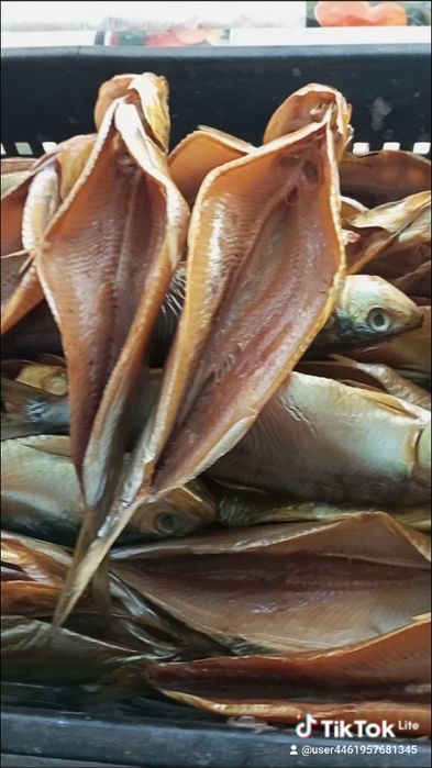 Вилково, Дунайская Селёдка вылов 2026 другая рыба