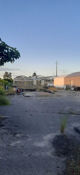 Alugo ou vendo armazém  com ou sem estufas