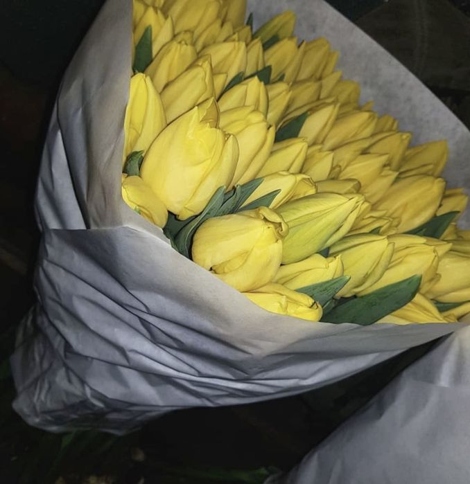 Тюльпан опт/розница