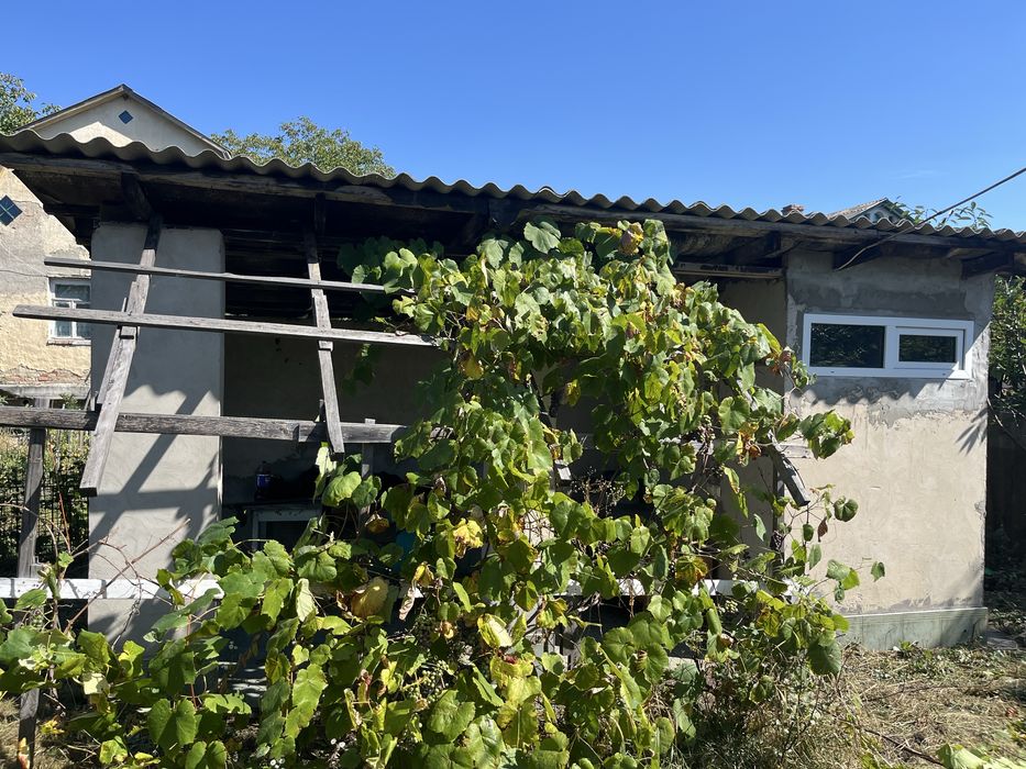 Дача. Село Хотянівка