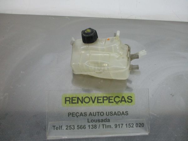 Vaso Expansao / Radiador RENAULT Scénic III (JZ0/1_)