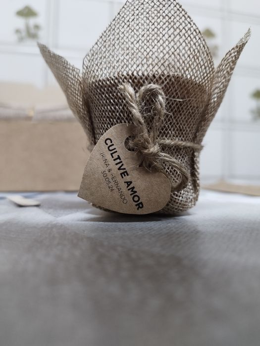 Suculentas personalizadas