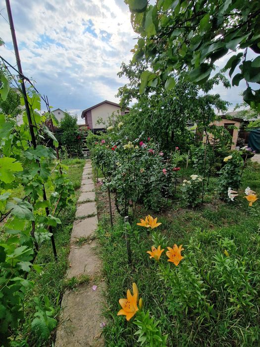 Продам дачу в Подгородном СТ "ЭКСПРЕСС"