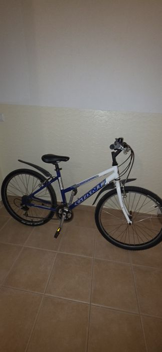 Bicicletas de passeio