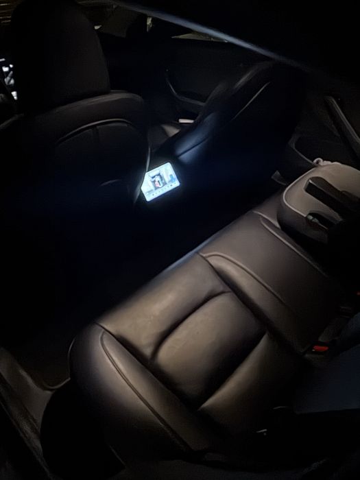 Tesla Model 3 Standard Range Plus 2019