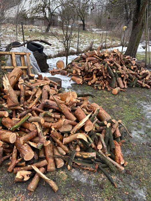 Drewno opałowe sosnowe