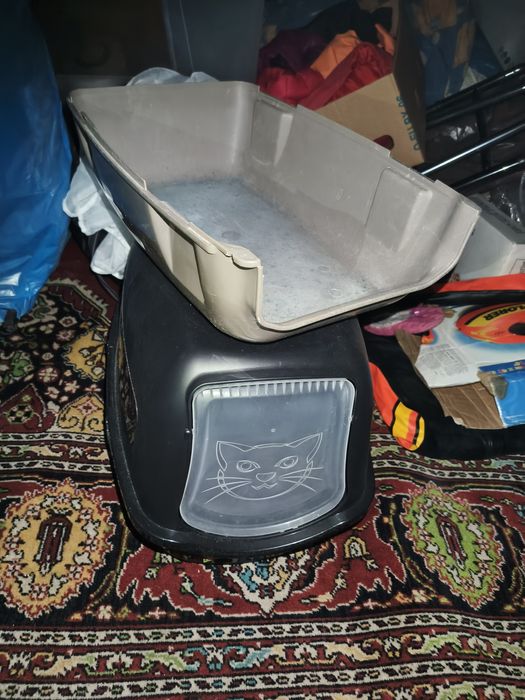 Kuweta kryta lub odkryta dla kota