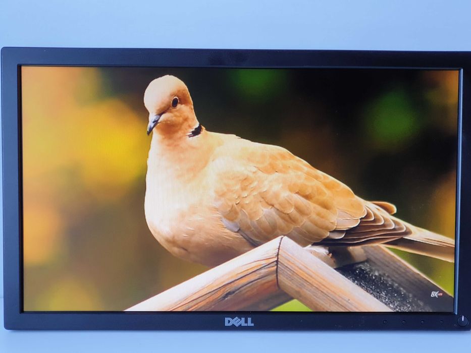 Монітор 19" Dell E1916He  TN+Film LCD з LED  displayport /VGA/кабель