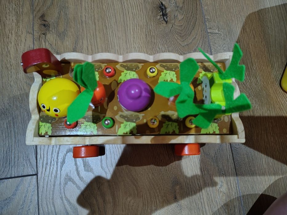 Zabawka drewnian-  sorter