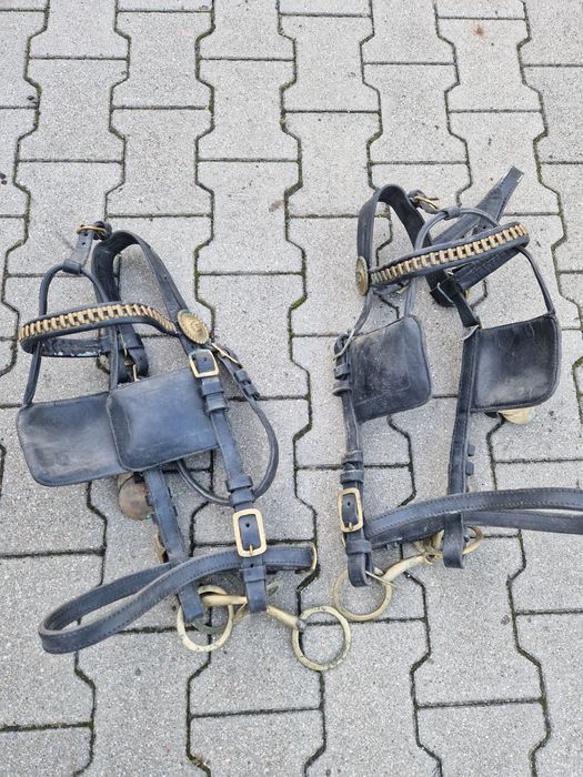 Uprząż kompletna dla pary koni do bryczki