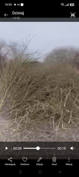 Oddam gałęzie  na zrębke,opał