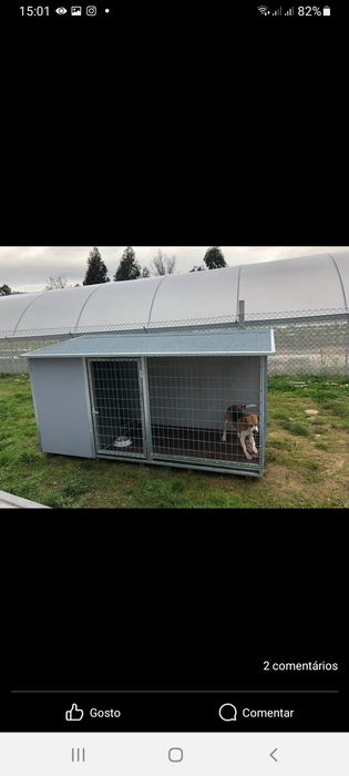 Abrigo Casota para animais domésticos