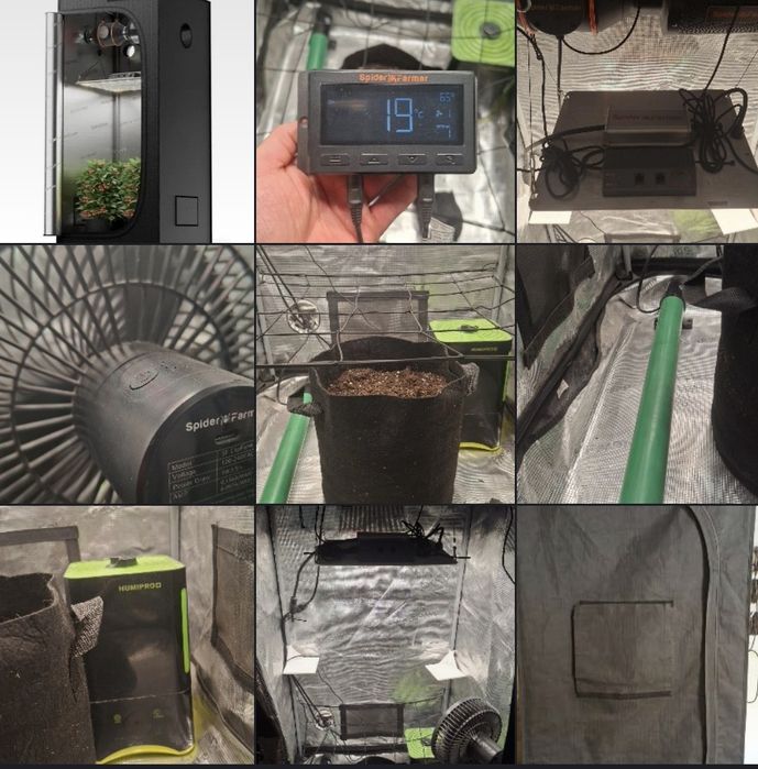 Grow box zestaw do uprawy roślin spider farmer
