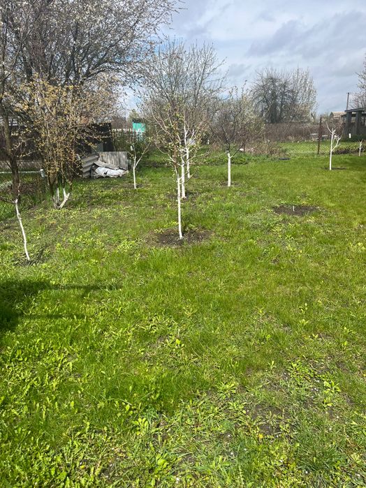 Дача СТ «Тарасівське» село Вільне Броварський район Київська область