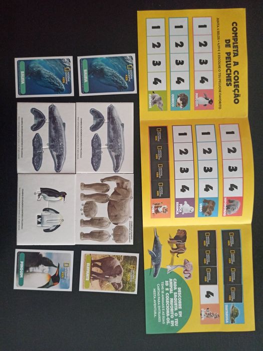 National Geographic Kids Auchan