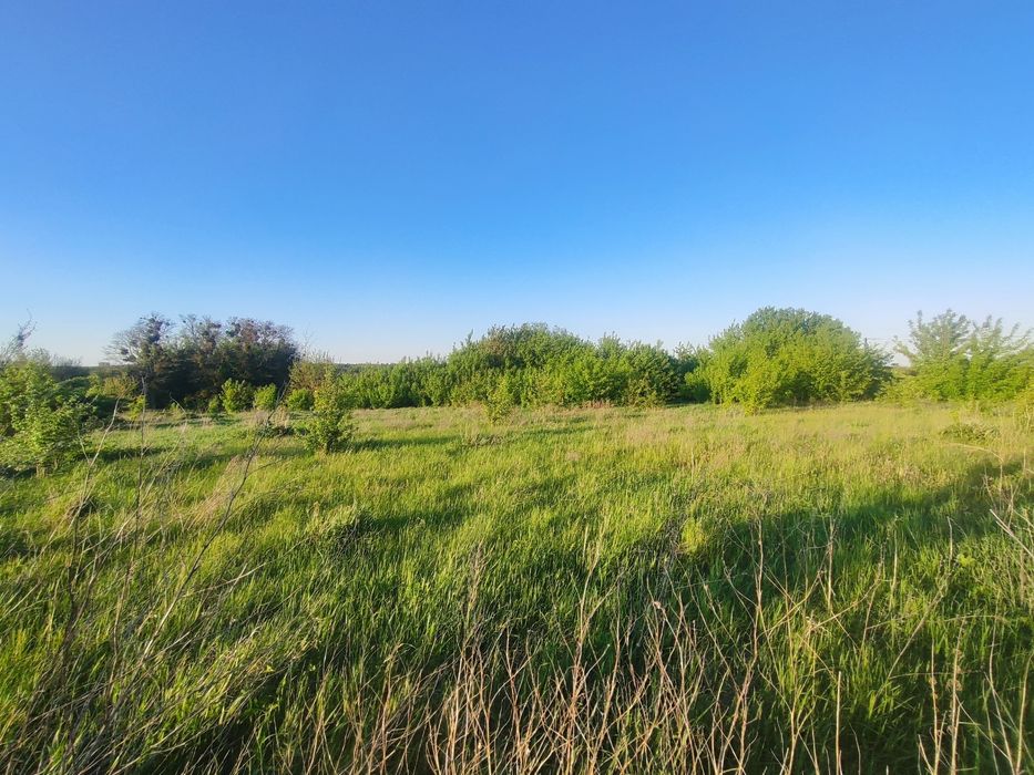 Продам земельну ділянку в селі Шкарівка