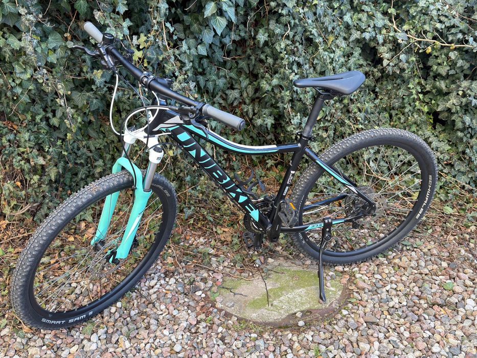 Rower UNIBIKE Fusion Lady