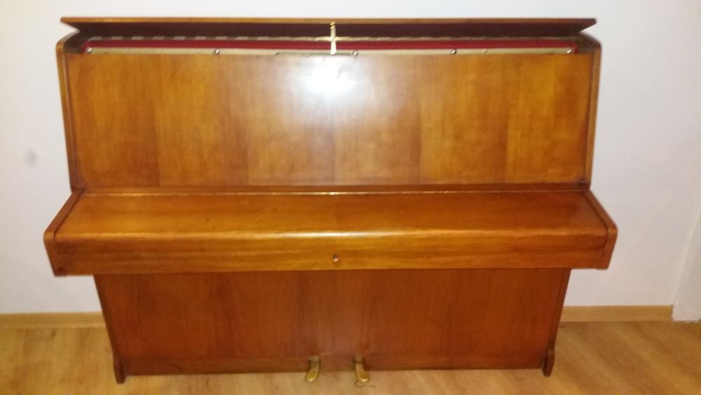 Pianino Finger polecam