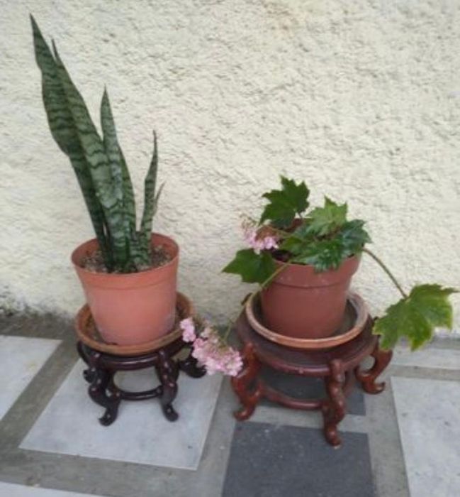 Dois Suportes Antigos para Vasos ou Louça