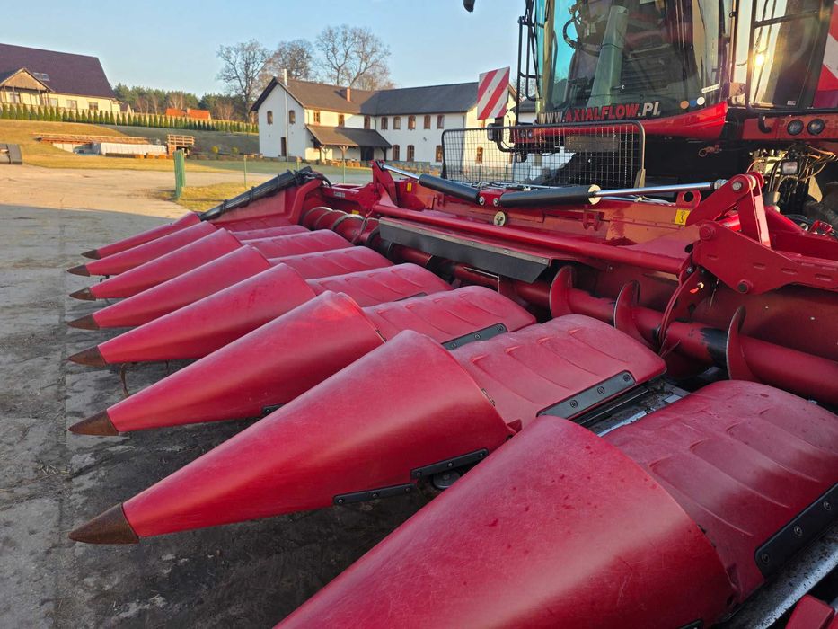 przystawka do kukurydzy CASE 8-rzędowa