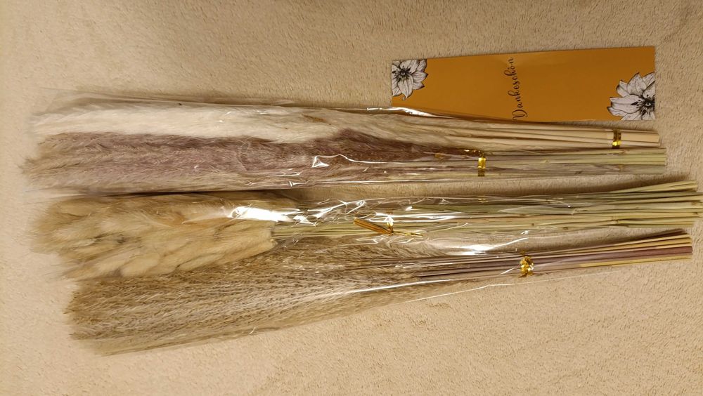 Набір 4 види пампасної трави