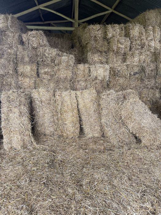 Fardos De Feno  Palha
