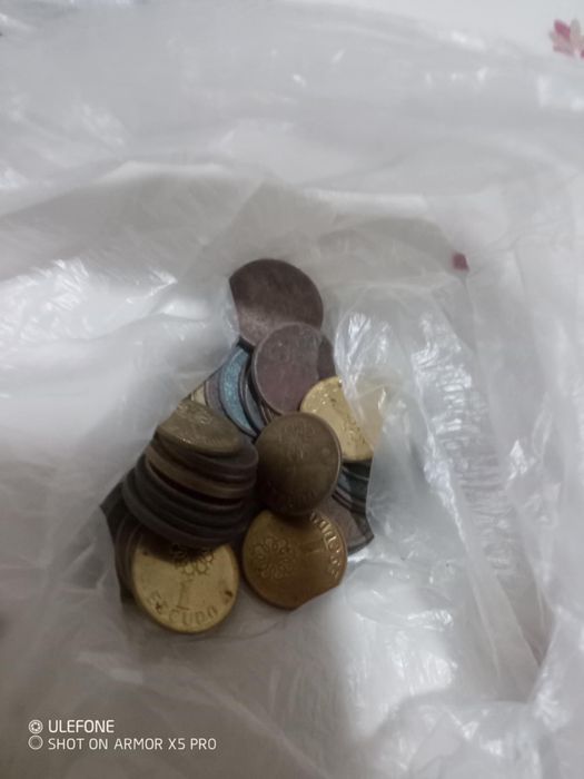 Moedas e notas escudos