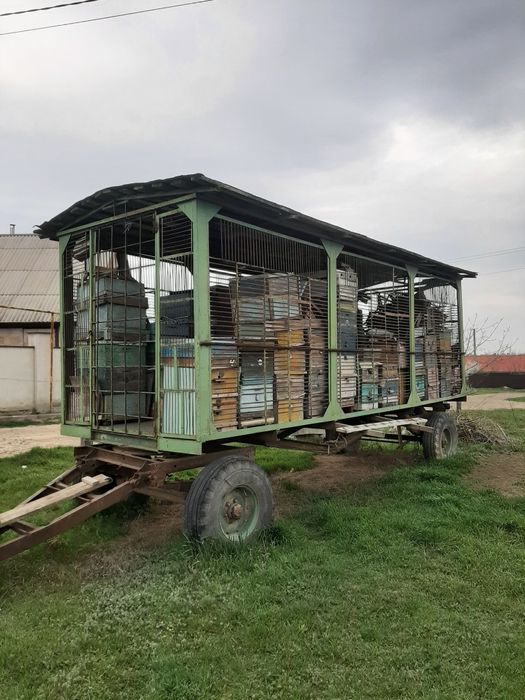 Пасіка на колесах.