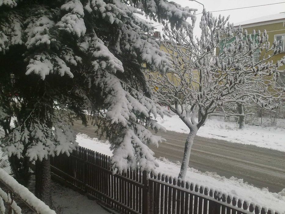 Sprzedam dom z działką