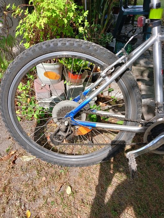 Rower Mtb Vortex