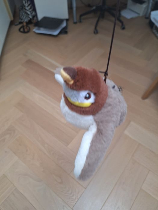 Ptaszek.interaktywny