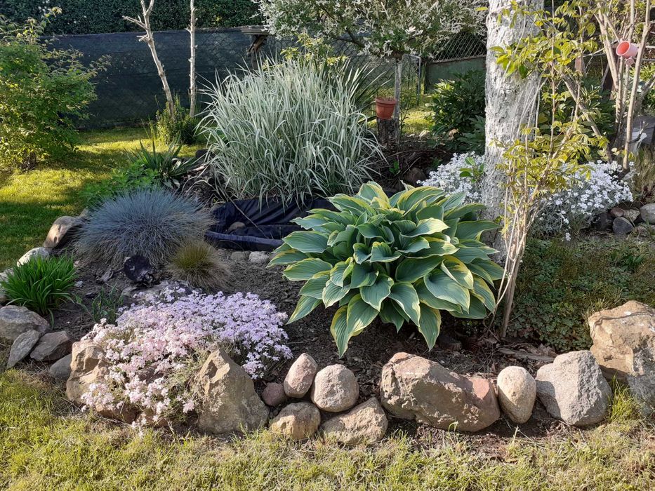 Działka ROD -ogródek działkowy