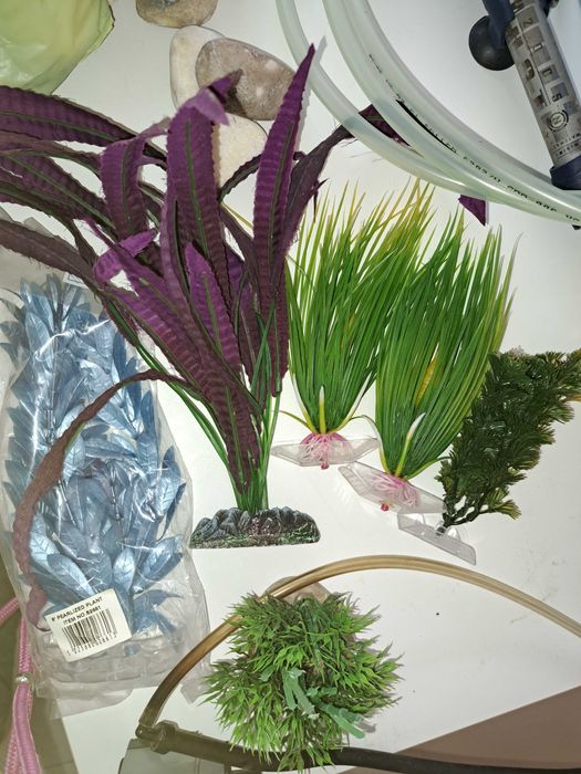 Aquário grande com equipamento para peixes de água quente