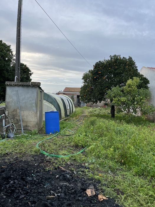 Vendo casa com terreno