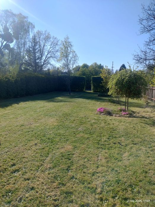 Działka ROD "Wyzwolenie " - Widok 5