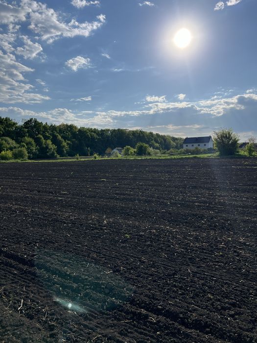 Продаж землі 20 соток, Грузевиця - View 6